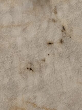 Krystallus – Lote 2250