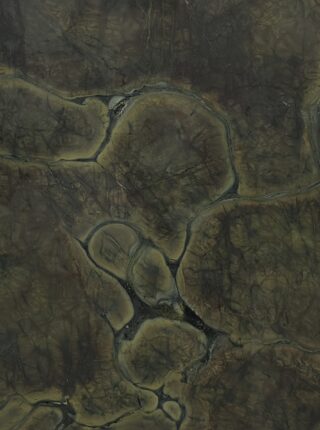 Vitória Régia Escovado